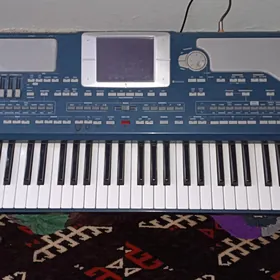KORG Pa800