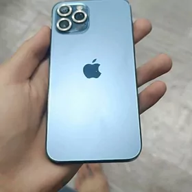 iPhone 12 pro