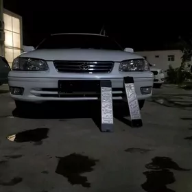 Toyota Camry 2001