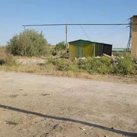 Satlyk mellek