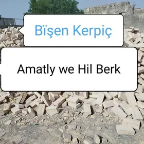 Bisen Kerpiç sary miti toyun