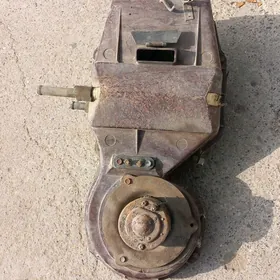 volga  24