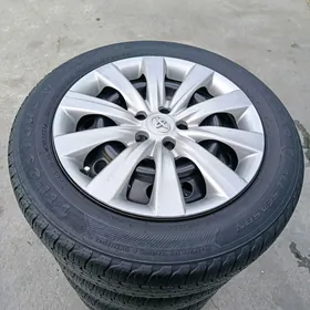 16 korola disga pakrysga