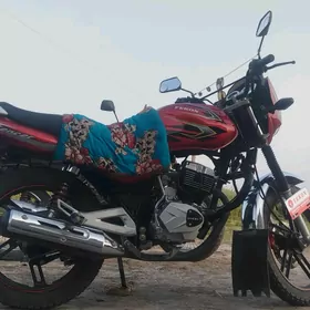 Fekon FK150-8G 2024
