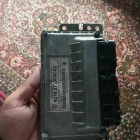 gazel sotga injektyr kapyutyry