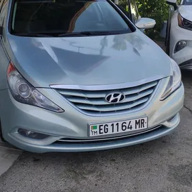 Hyundai Sonata 2010