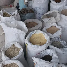Arpa Mekge kepek im okuz sarun