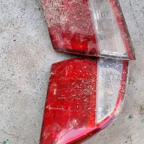 nissan maxima yzky fara