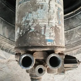 Maz pyrdun