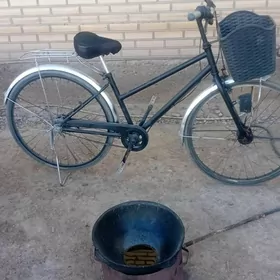 Velik 26