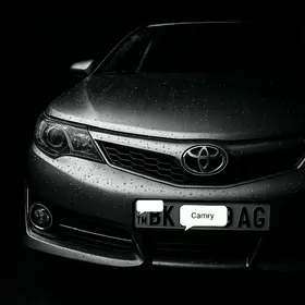 Toyota Camry 2013