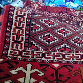 gadymy çöp boyag horjun