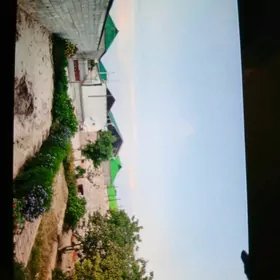 BUZMEYIN AKDASAYAK