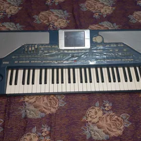 Ritim blok Pa800