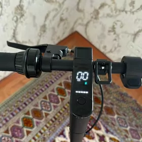 scooter