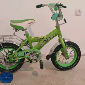 Tigir 12 lik