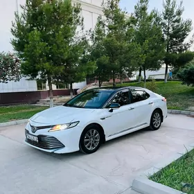 Toyota Camry 2019