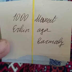 Daşy hatly poşda