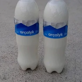 süýt