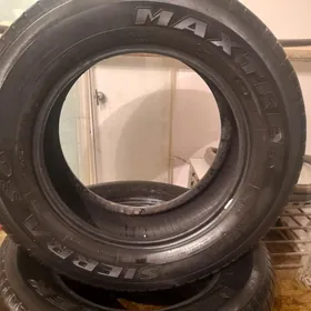255 60 17 MAXTREK