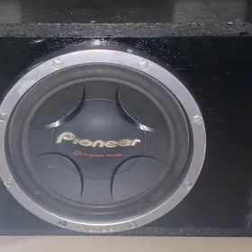 pioneer
