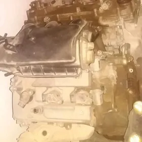 Siena mator 3.5