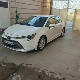 Toyota Corolla 2022