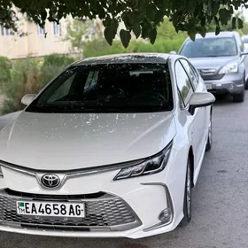 Toyota Corolla 2024