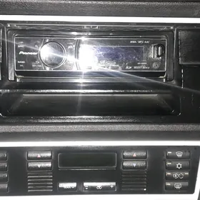 Pioneer Delpin