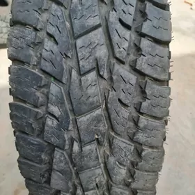 Toyota Tacoma TOYO teke