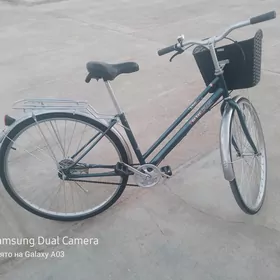 27 velisoped