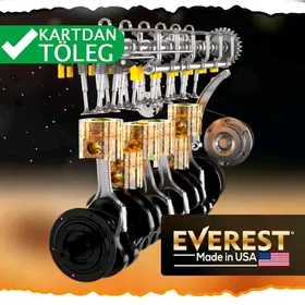 MOTOR we ATF YAGLARY EVEREST