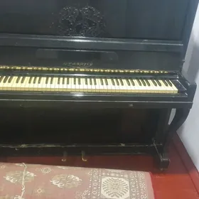 pionina