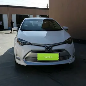 Toyota Corolla 2019