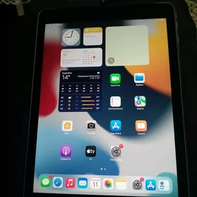 iPad Air2