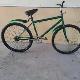 Turkmenistan tigir