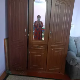 шфонер