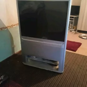 Telewizor