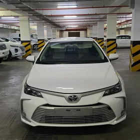 Toyota Corolla 2023