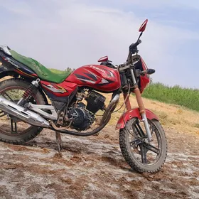 Fekon FK150-8G 2014