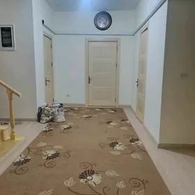 Arenda Taze zaman katez