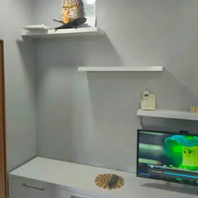 шкаф с антресолью нижней