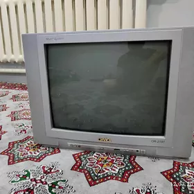 Orvica televizor