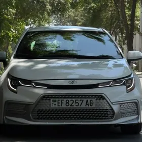Toyota Corolla Hatchback 2023