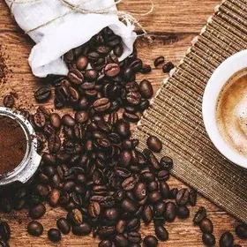 Бариста,Barista