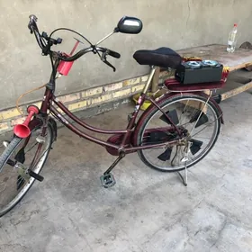 Velsapet