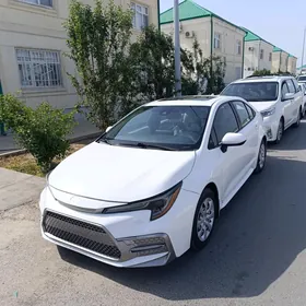 Toyota Corolla 2020