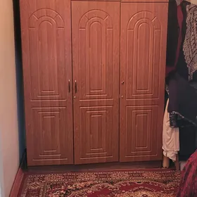 satlyk jayy