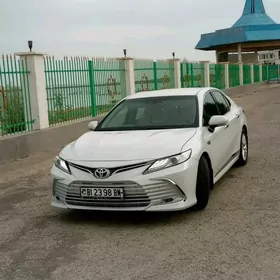 Toyota Camry 2019