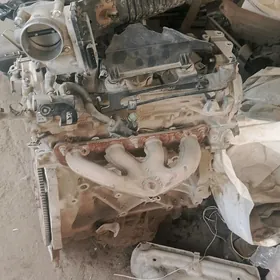Sentra motor